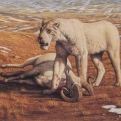 American Lion Facts for Kids