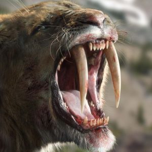 saber tooth tiger facts for kids